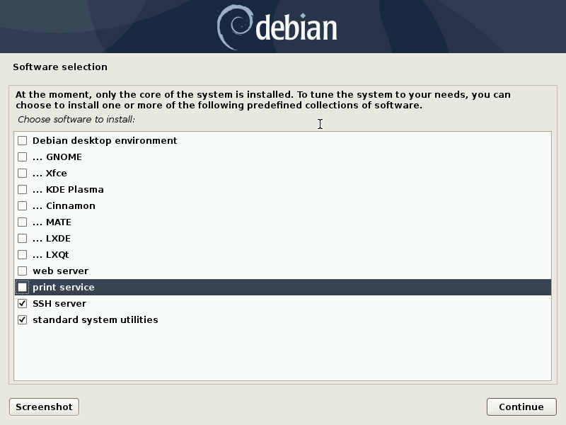 _images/debian_vm_install_screenshot_tasksel_first_0.png